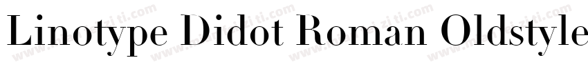 Linotype Didot Roman Oldstyle Figures字体转换